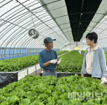 서산시, 시설채소 고설 양액재배 기술 보급 박차