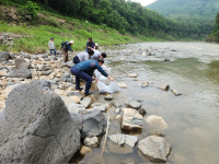 포천시, 실뱀장어 방류주간 맞아 한탄강, 영평천에 1만3천여미 방류