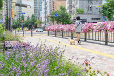 [양천구 포토] 양천구, 신월4동 걷고 싶은 거리 준공 행사 개최