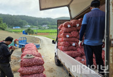 태안군 농협조합공동사업법인, 출범 5개월 매출 40억 달성