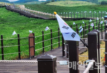 서산시, 광복 80주년 맞아 태극기 길 조성