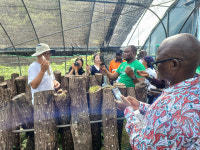 중부지방산림청, 콩고민주공화국 대표단에 표고버섯과 헛개나무 재배 사례 연수 실시