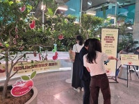 작은 나눔이 큰 희망으로… 부천시, 생명나눔 희망의씨앗 캠페인 운영