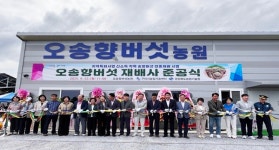 송향버섯 연중재배 재배사 준공…구미시, 지역 농가 신 소득원 기대
