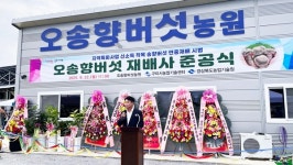 송향버섯 연중재배 재배사 준공…구미시, 지역 농가 신 소득원 기대