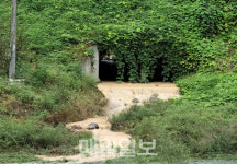 칠곡군, 경호천 종일 흙탕물 흘러…생태계 파괴 우려