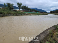 칠곡군, 경호천 종일 흙탕물 흘러…생태계 파괴 우려