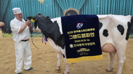 포천시 노곡목장, 한국홀스타인품평회  그랜드챔피언·준그랜드챔피언 동시 수상