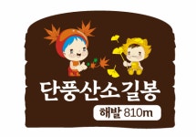 태백시 철암동 사회단체, 관광시설물 및 단풍산소길 정비