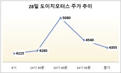 [특징주] 김건희 1심 선고에 30분간 롤러코스터탄 도이치모터스 주가