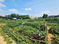 의왕시, 2026년 행복가꿈 주말농장 분양 신청 받아