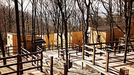 의왕 바라산자연휴양림, 도심 속 힐링 캠프 숲속의집-야영데크 3월 9일 신규 개장