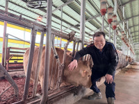 화순 첫 동물복지 한우 탄생…엄격한 인증 벽 넘었다