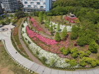 인천 남동구, 구월아시아드 철쭉동산 봄빛 물결