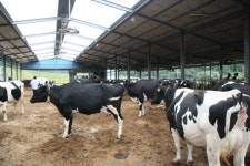 밀양시, 초동면 성암목장 국무총리상 대상 수상