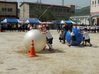 의령초등학교, 가족 한마당 큰잔치 마련