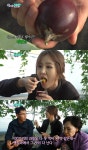 6시 내고향 윤수현, 상큼한 백향과 맛에 100가지 맛이 나네