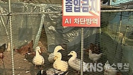 경기 이천에서 AI 추가 발생…위기감 고조