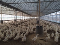 진도군, 2016년 녹색축산 시책 종합평가서 우수상 수상