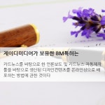 언론홍보대행사 제이디미디어,카드뉴스만들기 및 온라인배포시스템 특허경영 실시