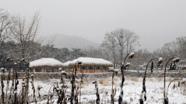 충남도, 겨울여행주간 관광객 확보 총력