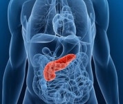 테르엔아아토피당뇨암다이어트힐링센타 | 힐링메뉴, 췌장암에 좋은 저염나물 음식 당뇨개선에 도움