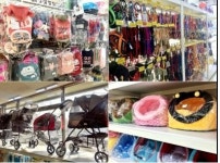 애견인들이 즐겨 찾는 곳! 다양한 애견용품과 저렴한 가격을 자랑하는 애견인들의 천국, 천안애견샵!