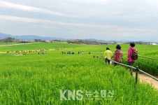 고창군, 신바람 나는 농업・농촌환경에 예산 집중