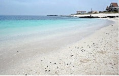 제주 여행 필수코스 섬안의 섬 제주도 우도(牛島), 봄꽃 만개한 우도맛집에서 즐기는 특색있는 퓨전짬뽕과 피자의 진미