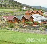 천혜향, 튤립 향기 가득 제주도펜션여행 떠나요