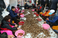 창원시, 진동에 오시면 미더덕 등 먹거리 풍성