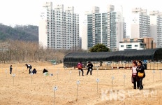 용인시, 시민농장 텃밭 350구좌 분양 완료