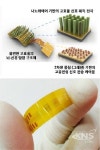 DGIST, 뇌-기계를 연결할 수 있는 고효율 뇌신경 탐침 개발