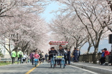 삼문동 벚꽃 나들이 한마당 행사 성황