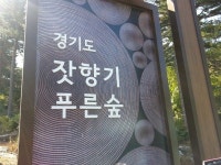 경기도 콜센터 감정노동자, 도 잣향기푸른숲에서 숲 치유