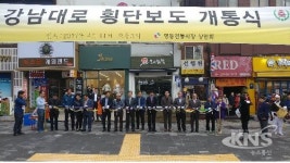 성중기 시의원, 강남대로 횡단보도 민원 해결..현장 참석