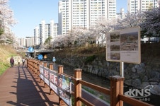 용인 정평천의 변신… 음악이 흐르고 사진을 전시한 산책로 조성