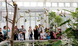 대전 버드랜드 4개월만에 재개장