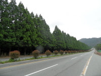 경남도, 친환경 도시숲 74개소와 가로수길 62km 조성