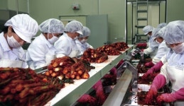 여수시, 돌산갓 6차산업 지역단위 네크워크 구축지원 공모사업 선정