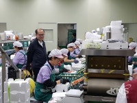 충남농협, 휴일동안 농산물 산지유통센터(APC) 찾아