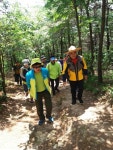 정현복 광양시장, 가야산 둘레길 조성 현장 점검