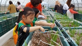 신안군 농업기술센터, 초·중·고생 농촌체험장으로 각광