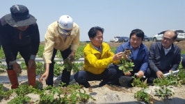 김병원 농협중앙회장, 충남 가뭄피해 현장방문