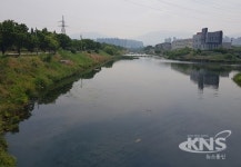 달서구, 친환경 EM 흙공 활용한 대명천 수질 환경 개선 자원봉사 나서