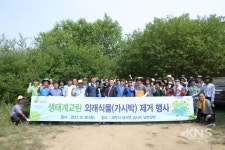 여주시, 생태계교란 외래식물  가시박 제거행사 전개