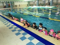 천안시 신사초 생존 수영교육 배우러 갑니다