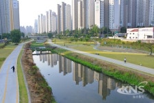 달성군 도심하천 진천천, 생태하천으로 변신