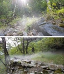 한여름 냉기 나오는 풍혈, 산림생물 피난처로 주목