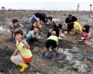 서해안 어촌마을서 이색 체험코스 즐겨요